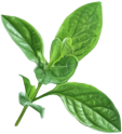 Products Icon